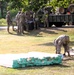 279th Engineer Utilities Detachment puts finishing touches on 2025 sidewalk troop project at Fort McCoy