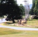 279th Engineer Utilities Detachment puts finishing touches on 2025 sidewalk troop project at Fort McCoy