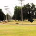279th Engineer Utilities Detachment puts finishing touches on 2025 sidewalk troop project at Fort McCoy