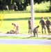 279th Engineer Utilities Detachment puts finishing touches on 2025 sidewalk troop project at Fort McCoy
