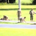 279th Engineer Utilities Detachment puts finishing touches on 2025 sidewalk troop project at Fort McCoy