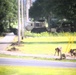 279th Engineer Utilities Detachment puts finishing touches on 2025 sidewalk troop project at Fort McCoy