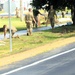 279th Engineer Utilities Detachment puts finishing touches on 2025 sidewalk troop project at Fort McCoy