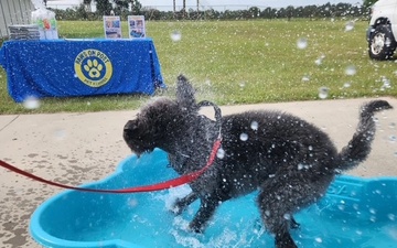 Doodles Bring Smiles and Connection to Fort Bragg Community