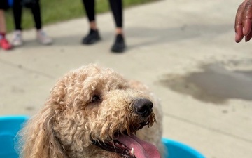Doodles Bring Smiles and Connection to Fort Bragg Community