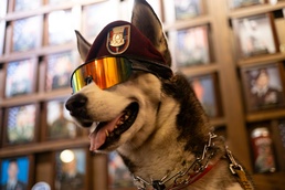 Sapper... A Veteran's Companion