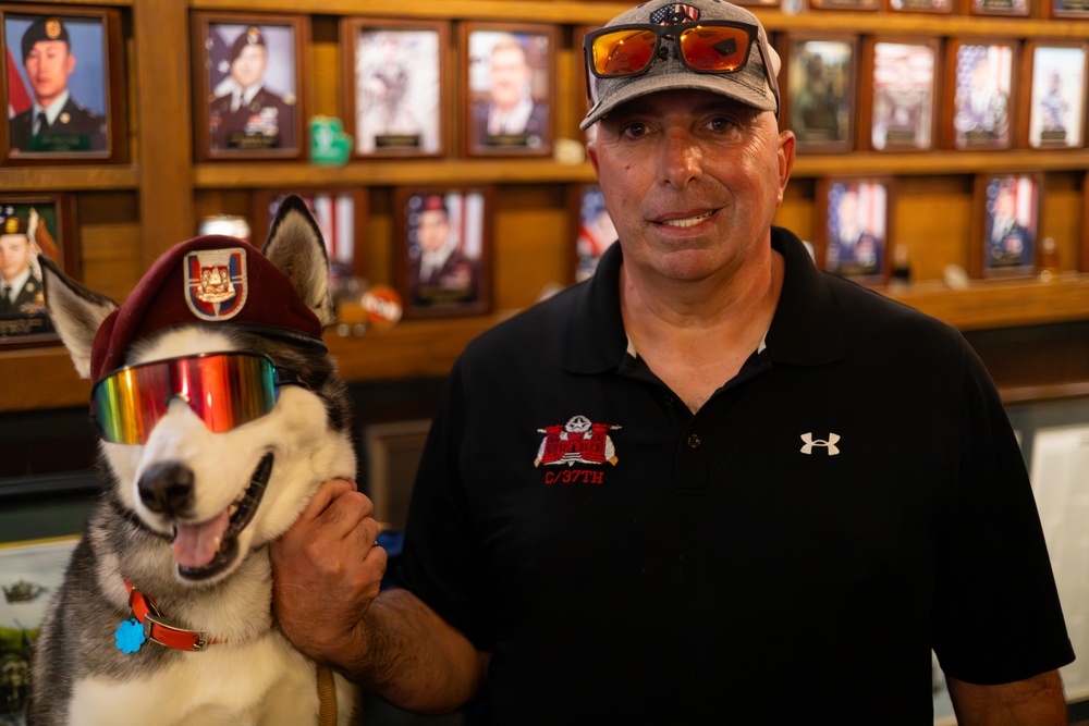 Sapper... A Veteran's Companion