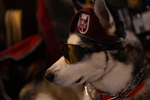 U.S. Soldiers celebrate Independence Day with T.V.'s American Gladiators