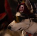 Sapper... A Veteran's Companion