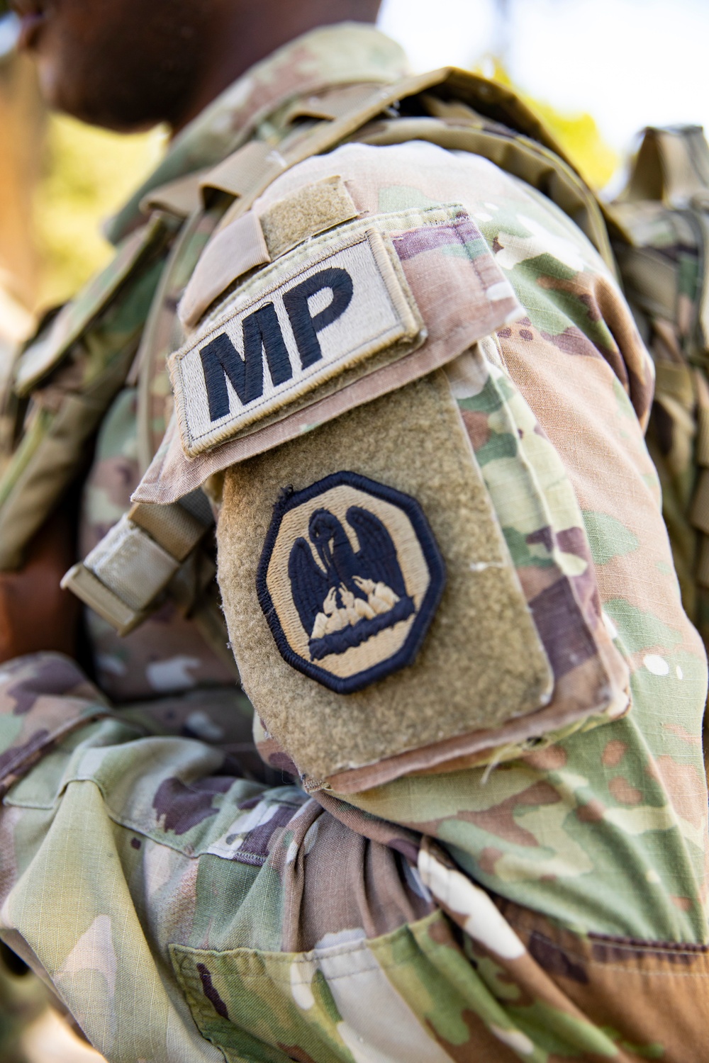 Louisiana Army National Guard Patrols the National Mall