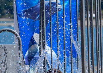 Ronald Reagan Holds Command Picnic