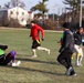 181st MFTB Plays Annual Turkey Bowl