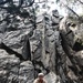 V35 and V11 Marines conduct mock lead climbing during Assault Climbers Course