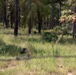 2nd Brigade Secures Control of the Battleground