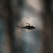 The Advanced Recapture Recovery Operational Warfighter (ARROW) exercise Week 3