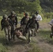 Fuerzas Comando 2025 Assaulter Stage 1