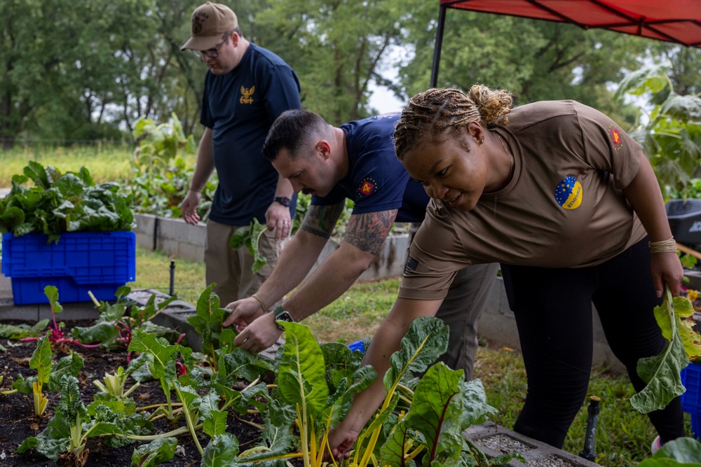 Sailors Volunteer with Ozark Harvest Food Foundation During Springfield-Branson Navy Week