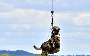 Military Working Dog Axel Retires