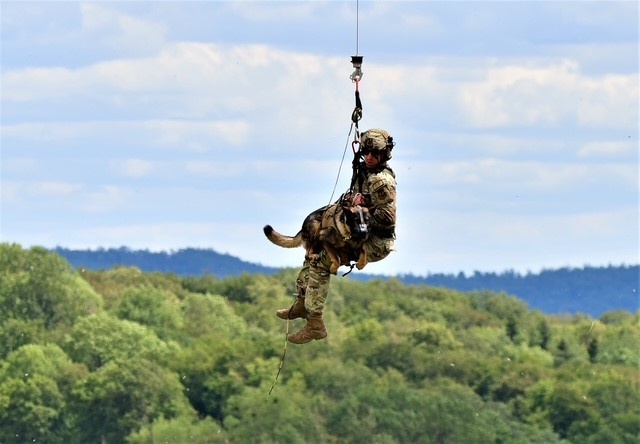 Military Working Dog Axel Retires
