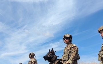 MWD Axel Retires