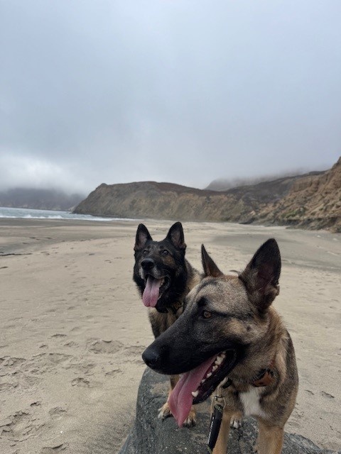 MWD Axel Retires