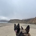 MWD Axel Retires