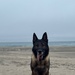 MWD Axel Retires
