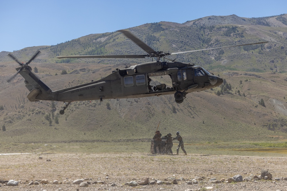 CLB-5, CLR-1 Marines rehearse sling load, speed ball deliveries with Nevada National Guard during MTX 4-25