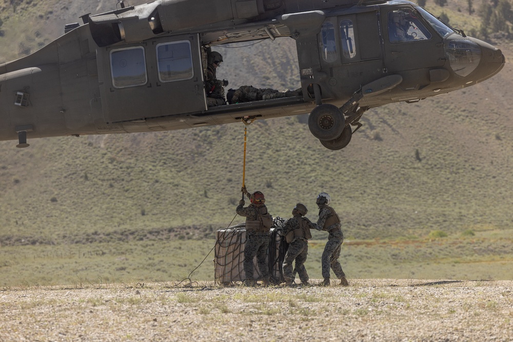 CLB-5, CLR-1 Marines rehearse sling load, speed ball deliveries with Nevada National Guard during MTX 4-25