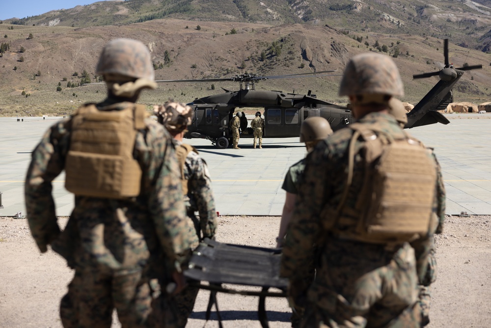 CLB-5, CLR-1 Marines rehearse sling load, speed ball deliveries with Nevada National Guard during MTX 4-25