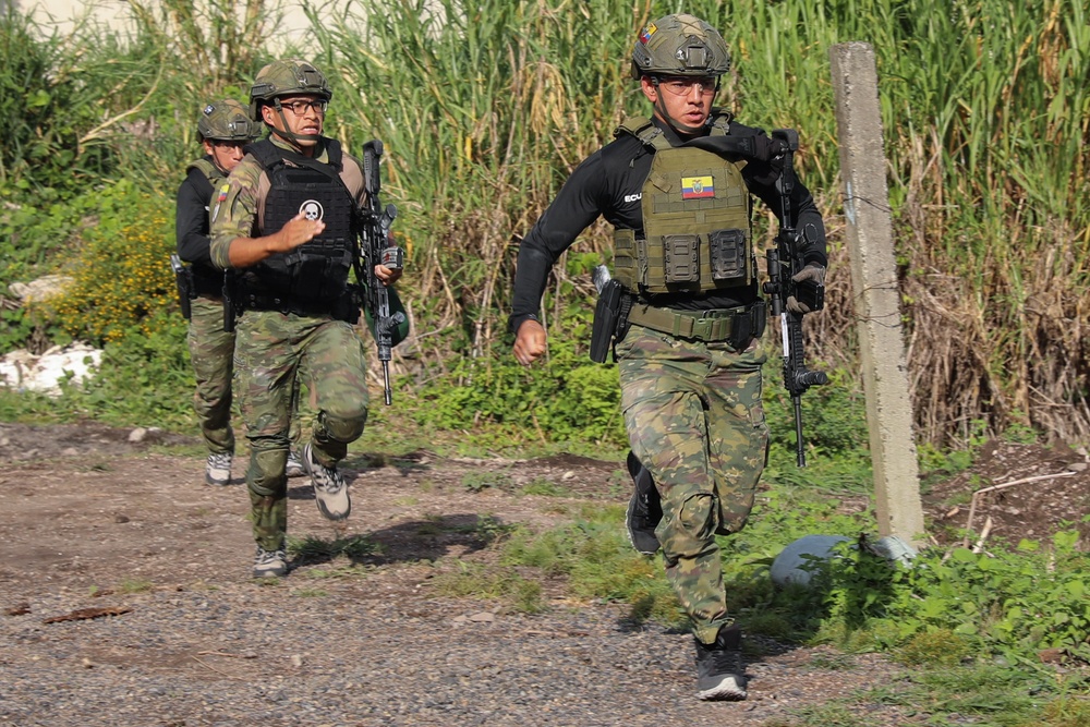 Fuerzas Comando 2025 Assaulter Stage 6