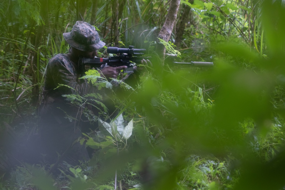 Company Level Alert Contingency MAGTAF Drill with Raid and Patrolling Exercise