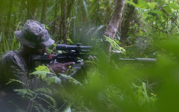 Company Level Alert Contingency MAGTAF Drill with Raid and Patrolling Exercise
