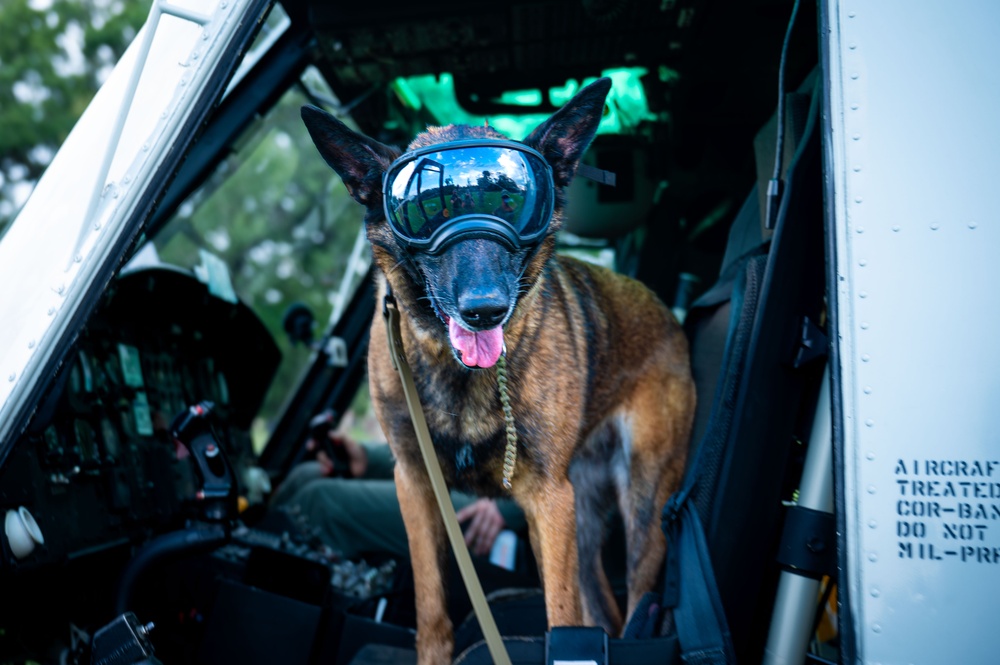 Yokota Airmen participate in Wing Training Day