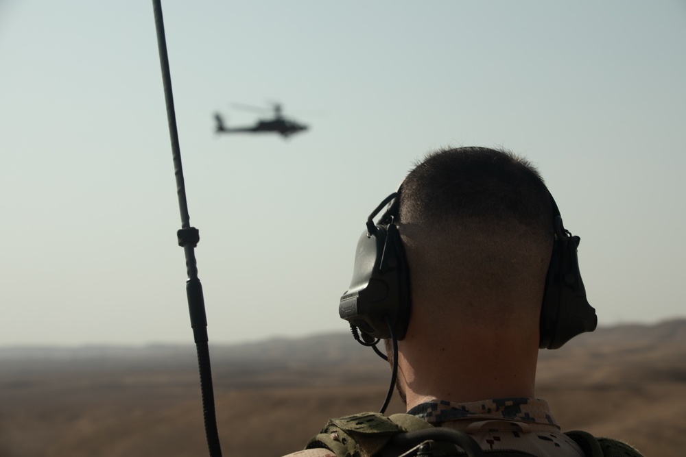 Estonian Defense Forces train with Task Force Nighthawk in an Apache Live Fire Exercise