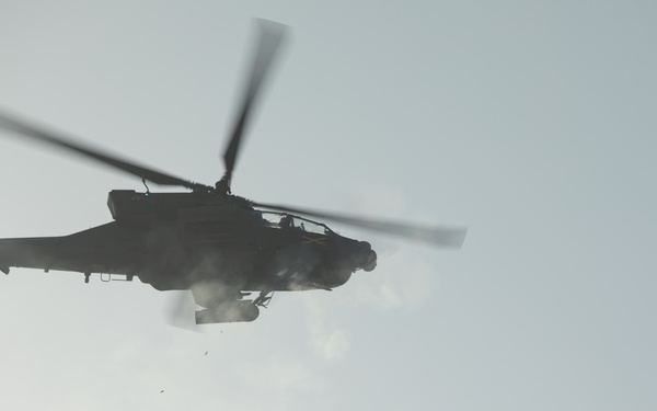 Estonian Defense Forces train with Task Force Nighthawk in an Apache Live Fire Exercise