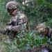 USAREUR-AF Best Squad Competition: Patrol, Medical and CBRN