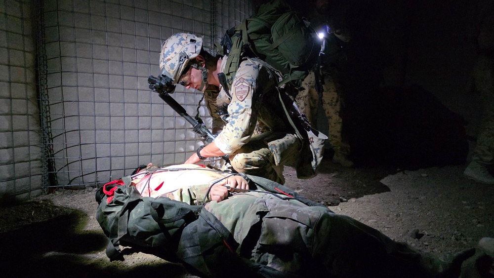 Estonaian Defence Force conducts Exfil Exercise