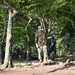 National Guard Soldiers support Safe and Beautiful effort in D.C.