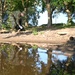 National Guard Soldiers support Safe and Beautiful effort in D.C.