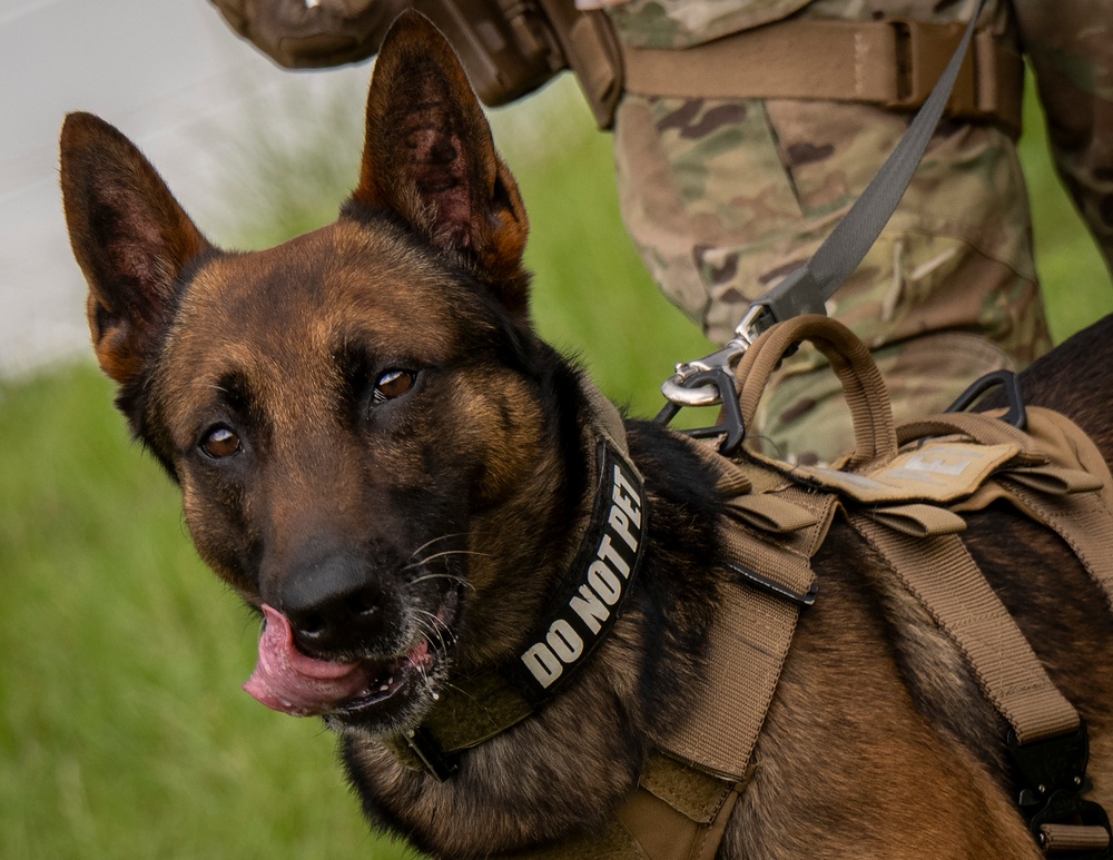 Appreciating Eglin's K-9s