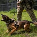 Appreciating Eglin's K-9s