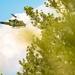 The Advanced Recapture Recovery Operational Warfighter (ARROW) Exercise