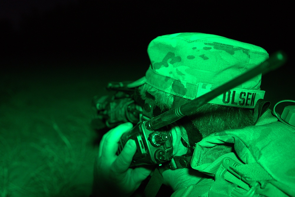 Army National Guard conducts Operation Giant Alp in Laredo, Texas