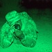 Army National Guard conducts Operation Giant Alp in Laredo, Texas