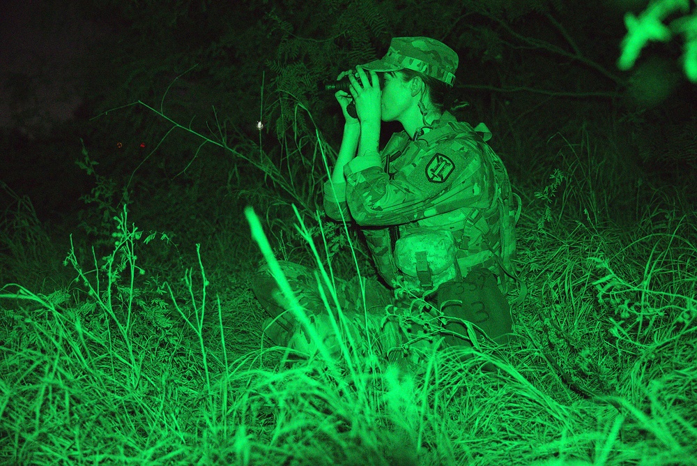 Army National Guard conducts Operation Giant Alp in Laredo, Texas