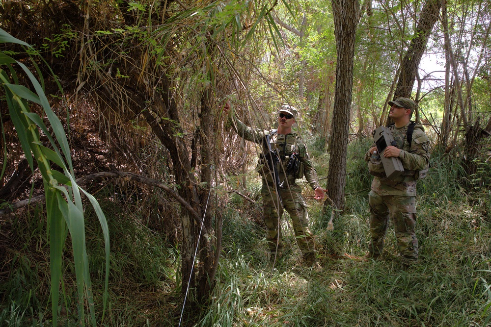 Army National Guard conducts Operation Giant Alp in Laredo, Texas