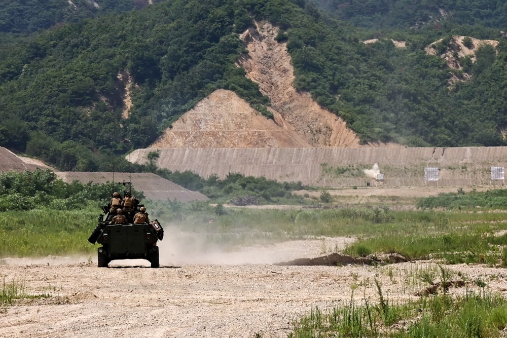 3d LAR Conducts Live Fire and Combined Arms Training During KMEP 25.2