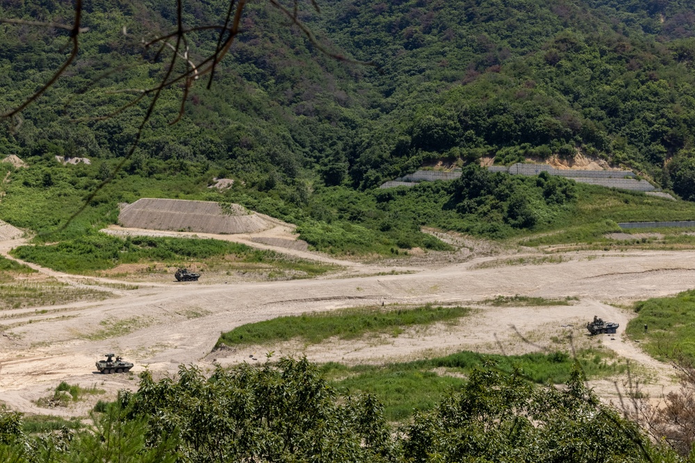 3d LAR Conducts Live Fire and Combined Arms Training During KMEP 25.2