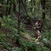 Steel, Sweat, and Fire: 2-23 Infantry Conducts Live Fire Exercise